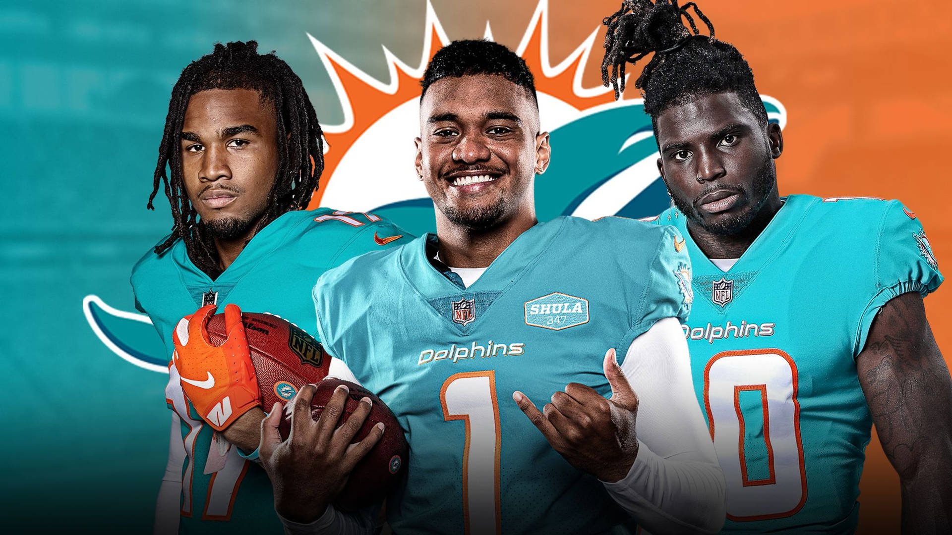 cool miami dolphins pictures 0021