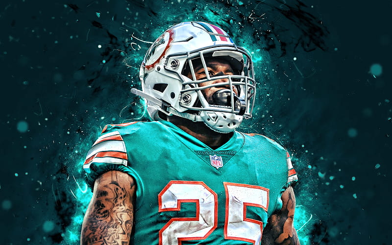 cool miami dolphins pictures 0023