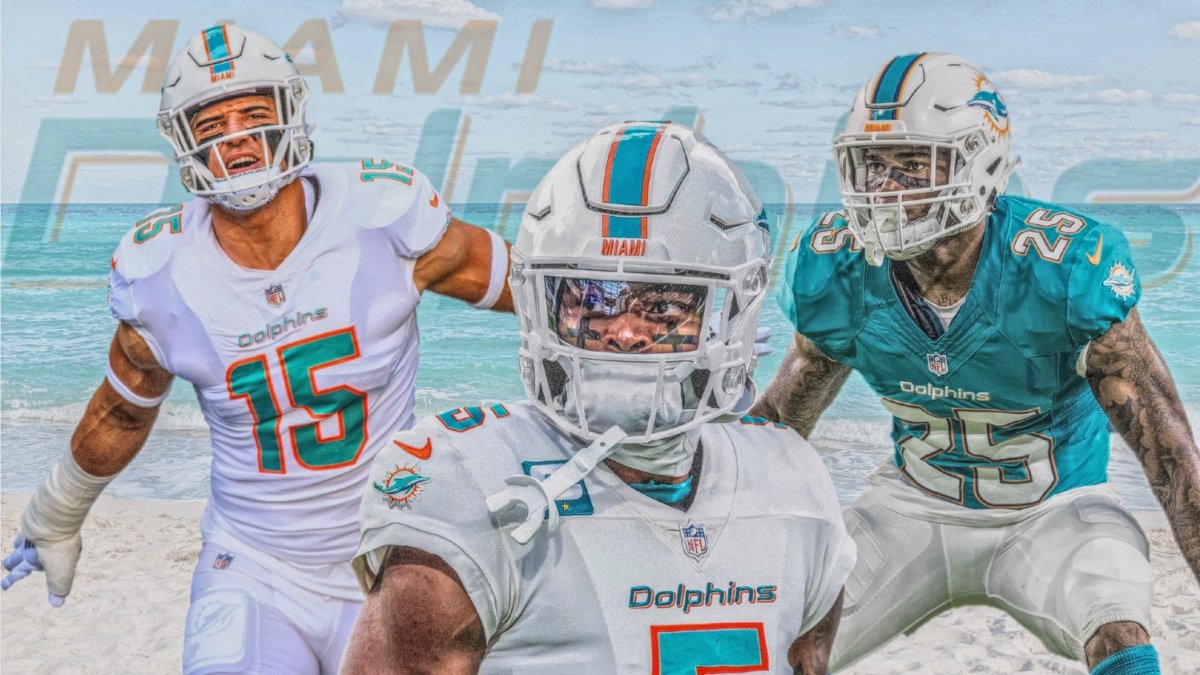 cool miami dolphins pictures 0027