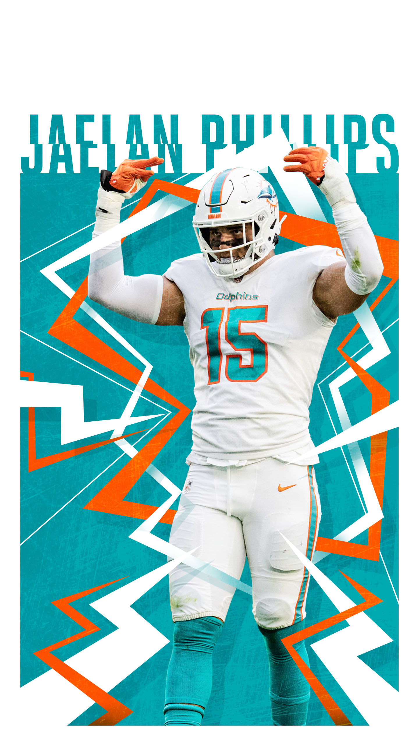 cool miami dolphins pictures 0033