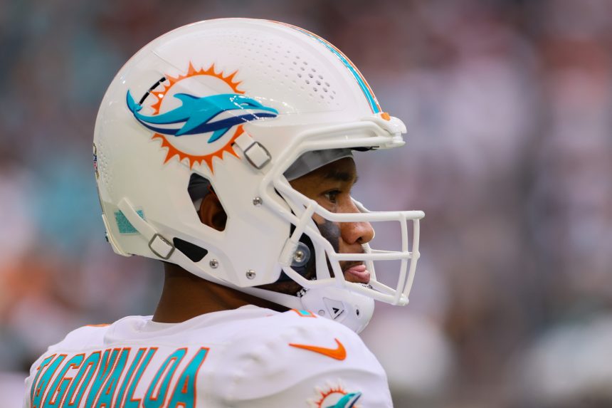 cool miami dolphins pictures 0035