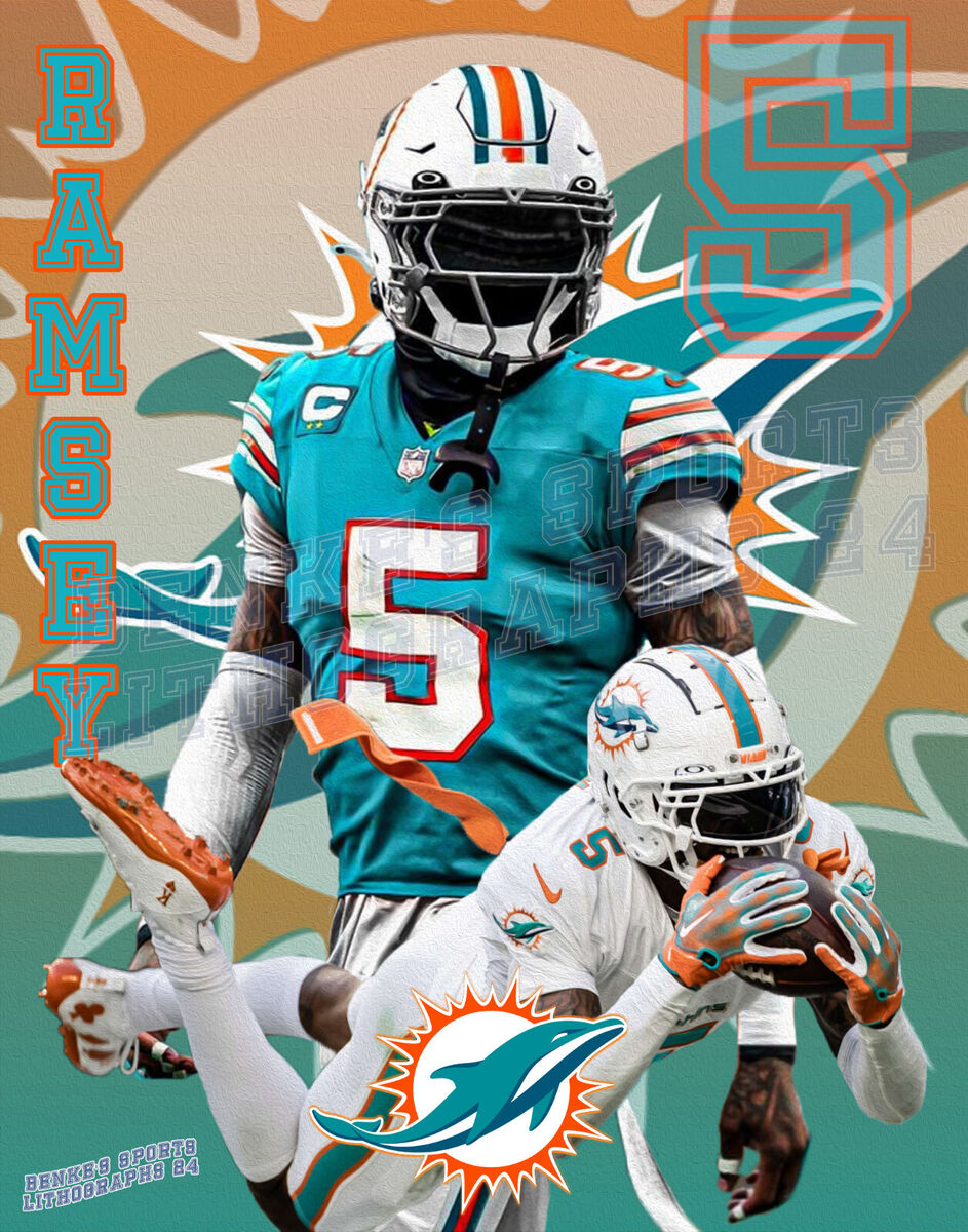 cool miami dolphins pictures 0037