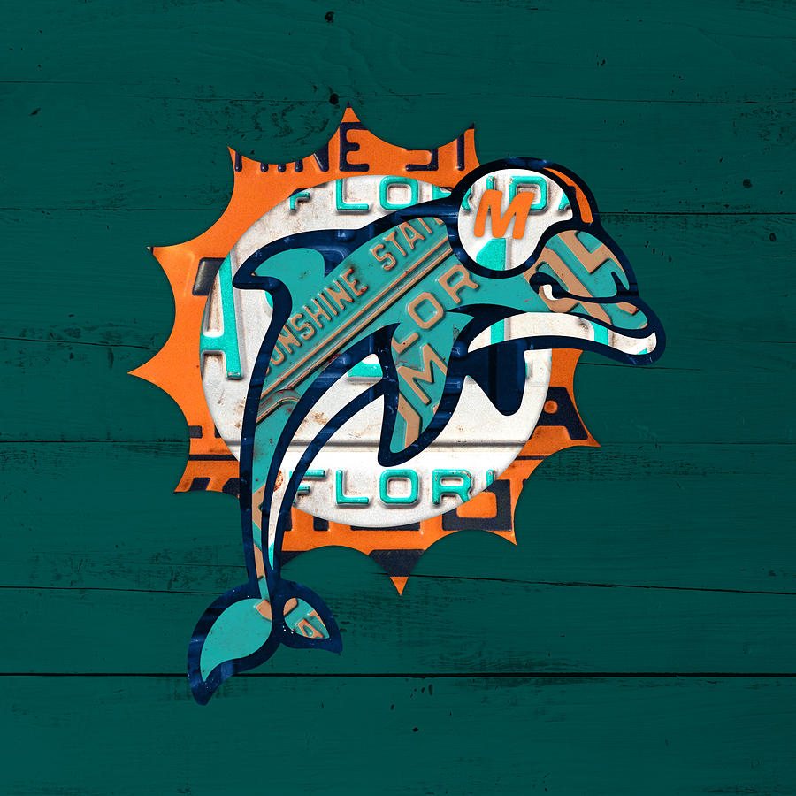 cool miami dolphins pictures 0038