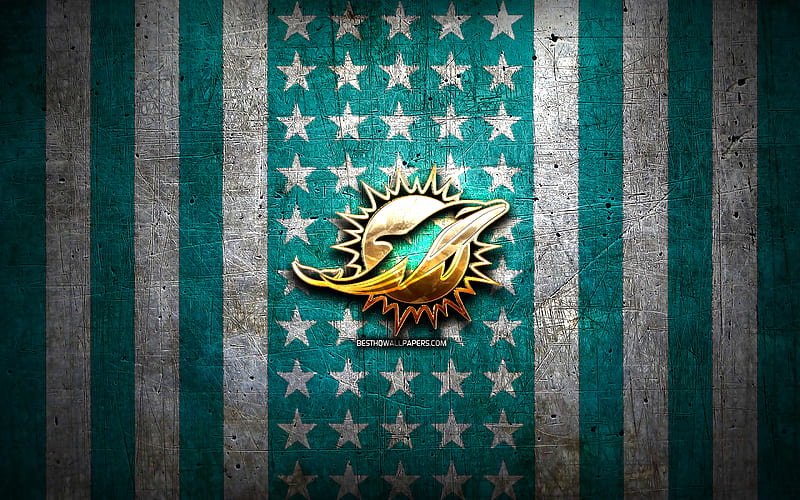 cool miami dolphins pictures 0039