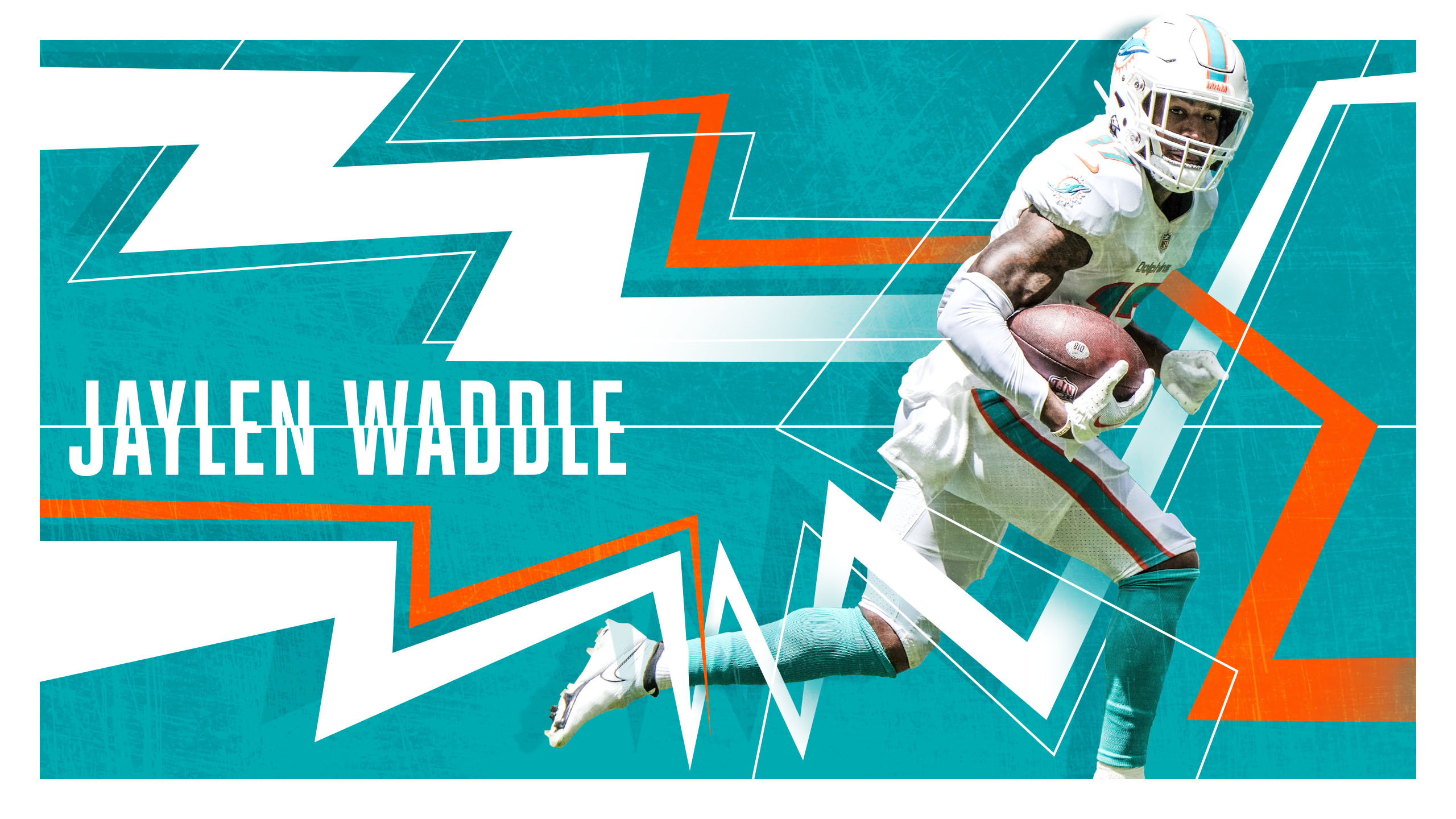 cool miami dolphins pictures 0041