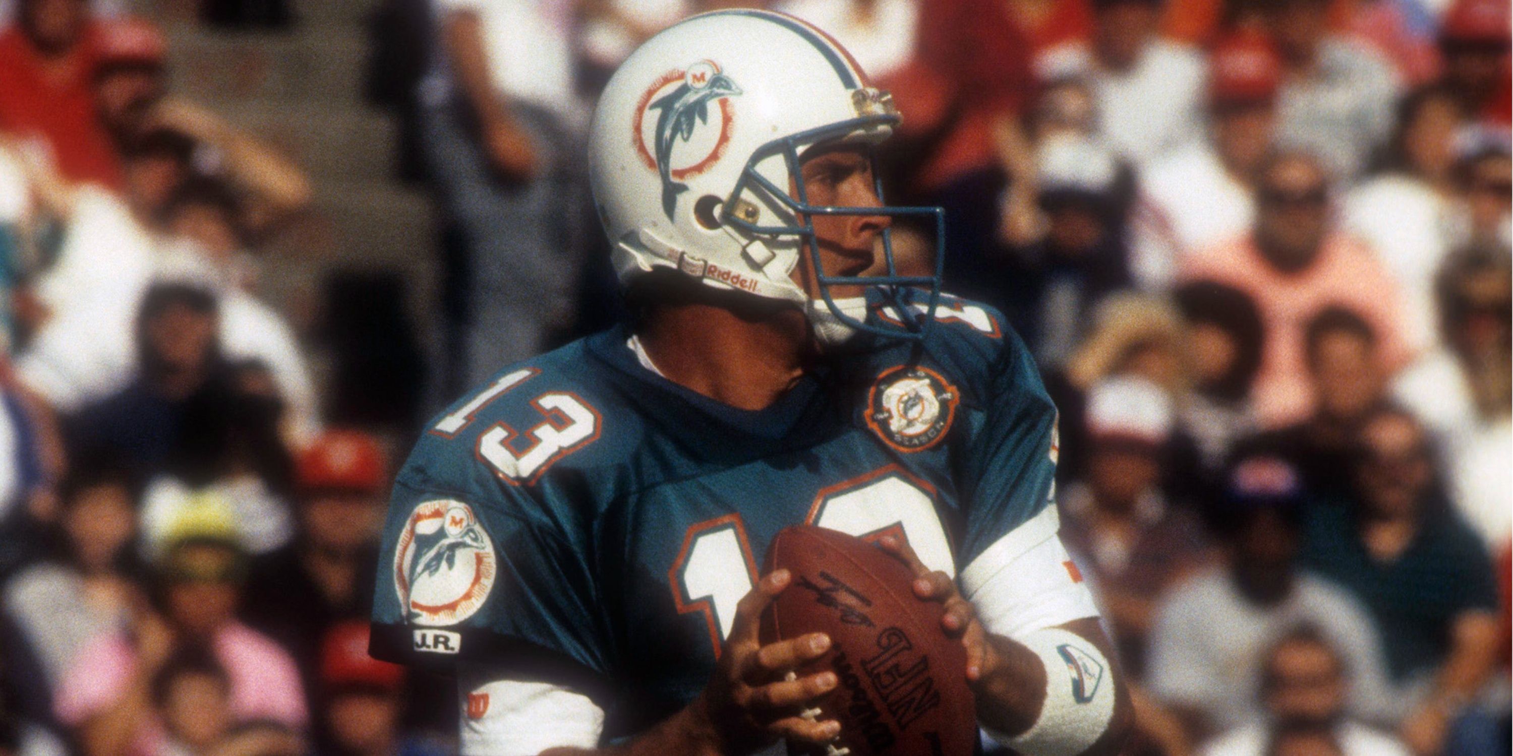 cool miami dolphins pictures 0042