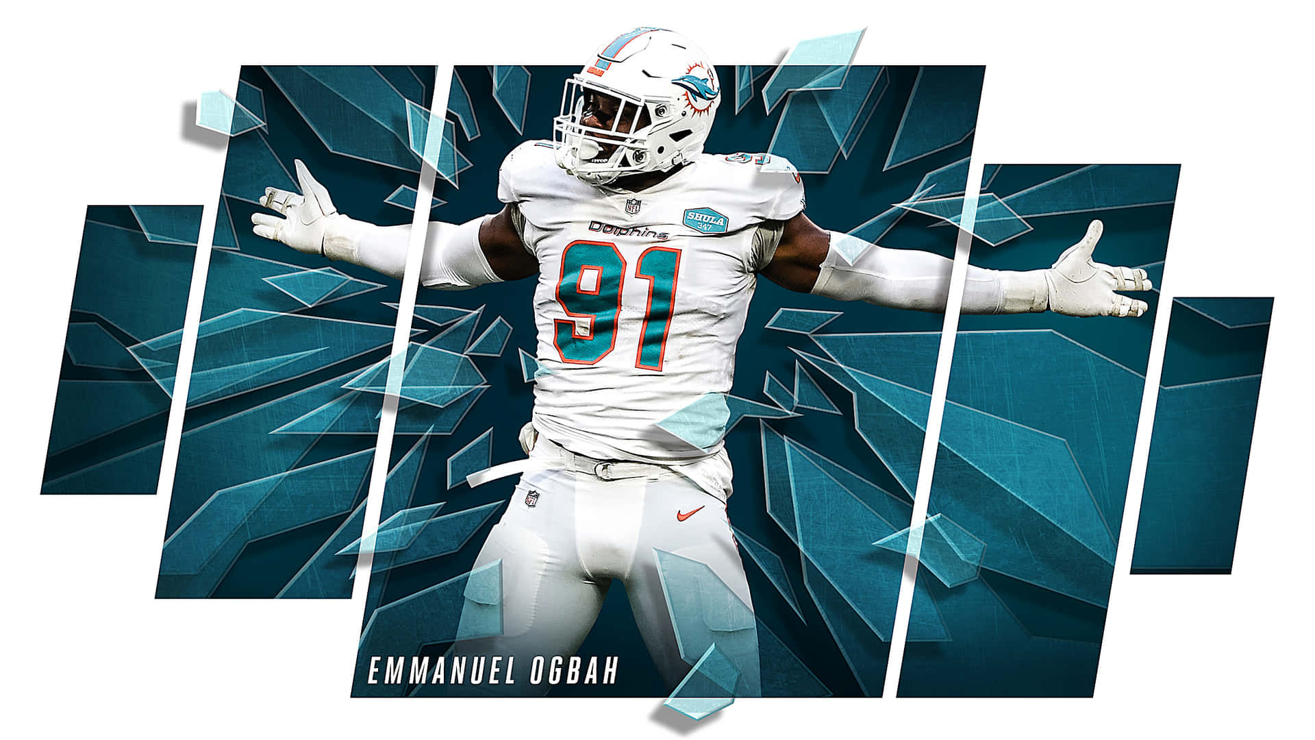 cool miami dolphins pictures 0044