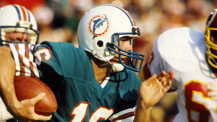 cool miami dolphins pictures 0045