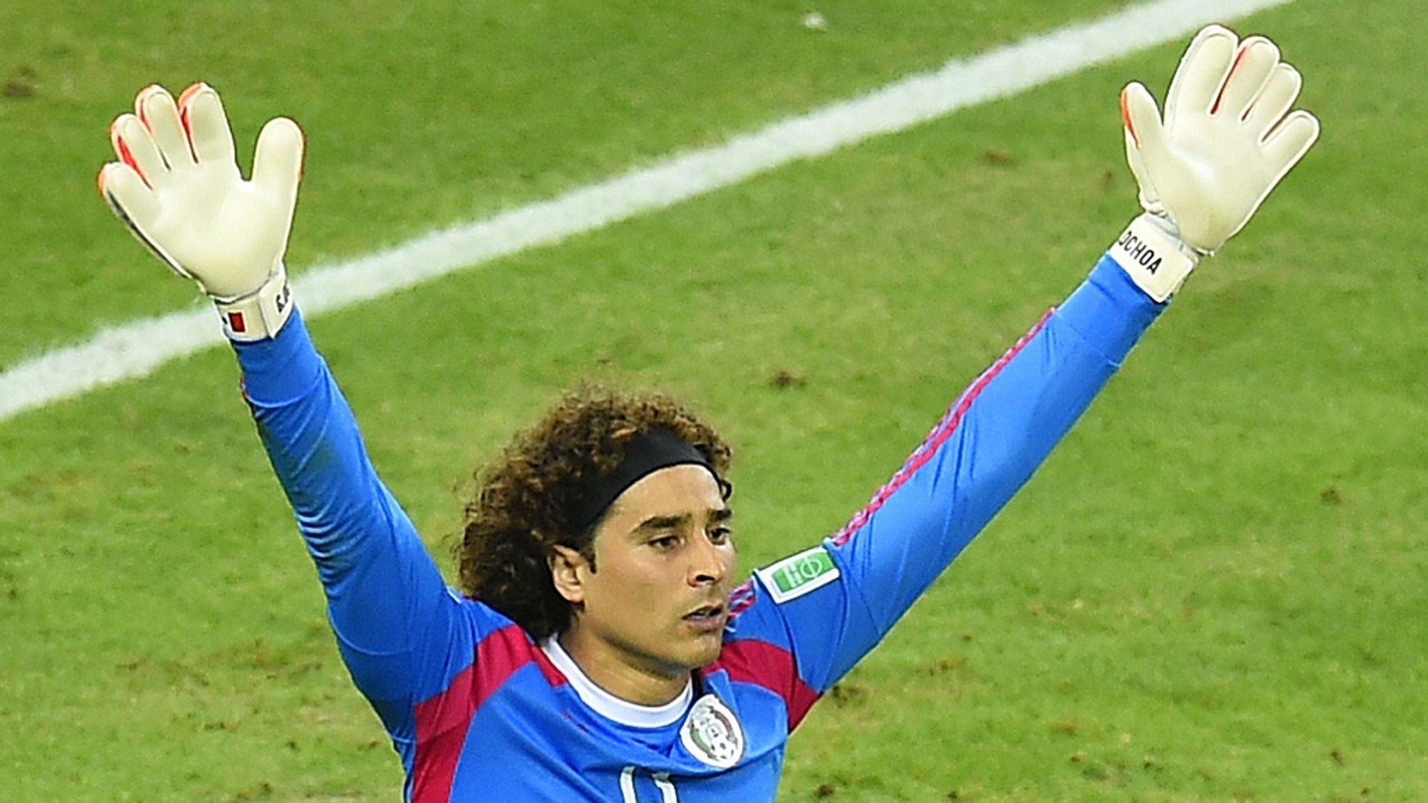 cool ochoa wallpaper 0018