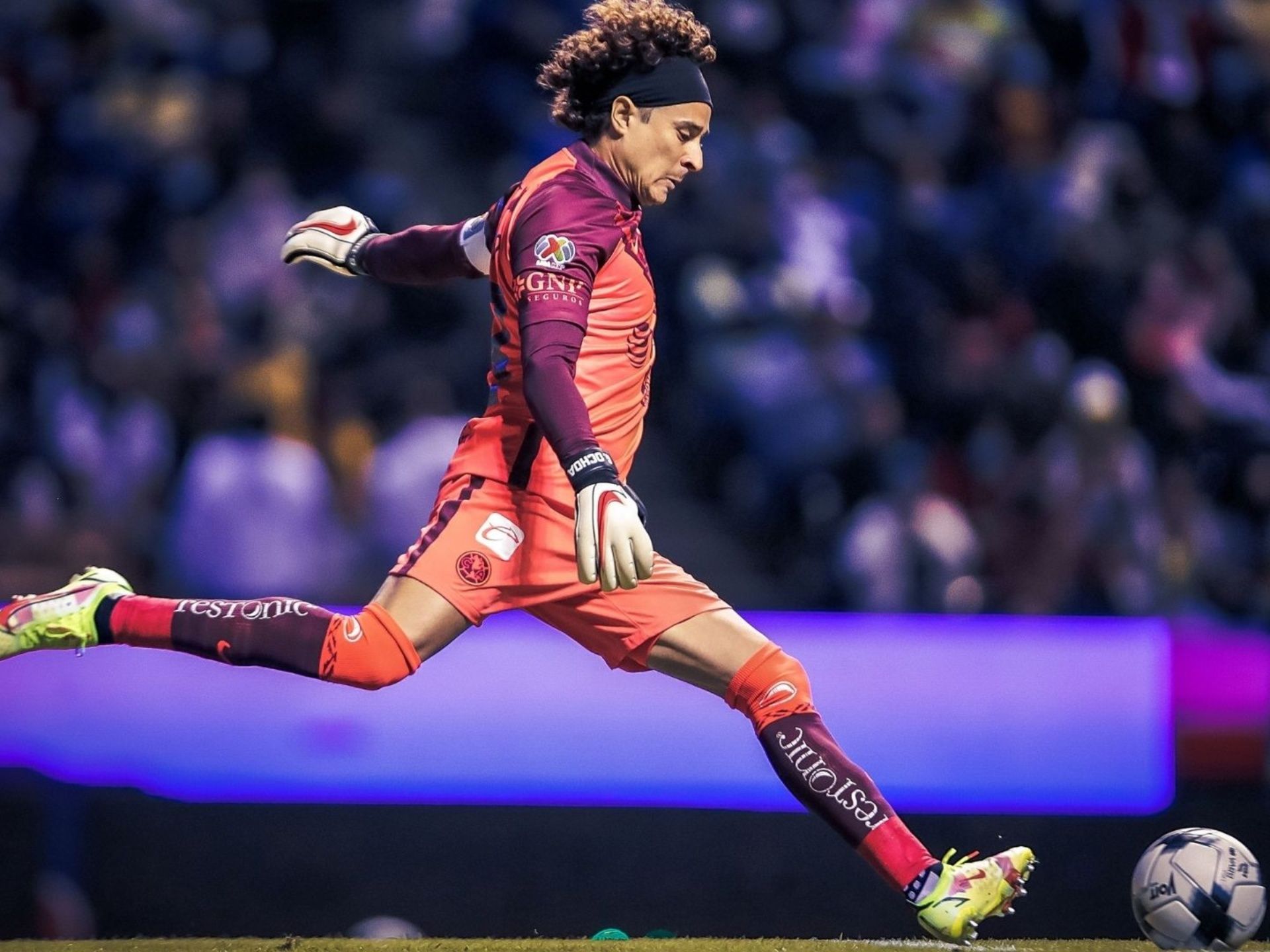cool ochoa wallpaper 0021