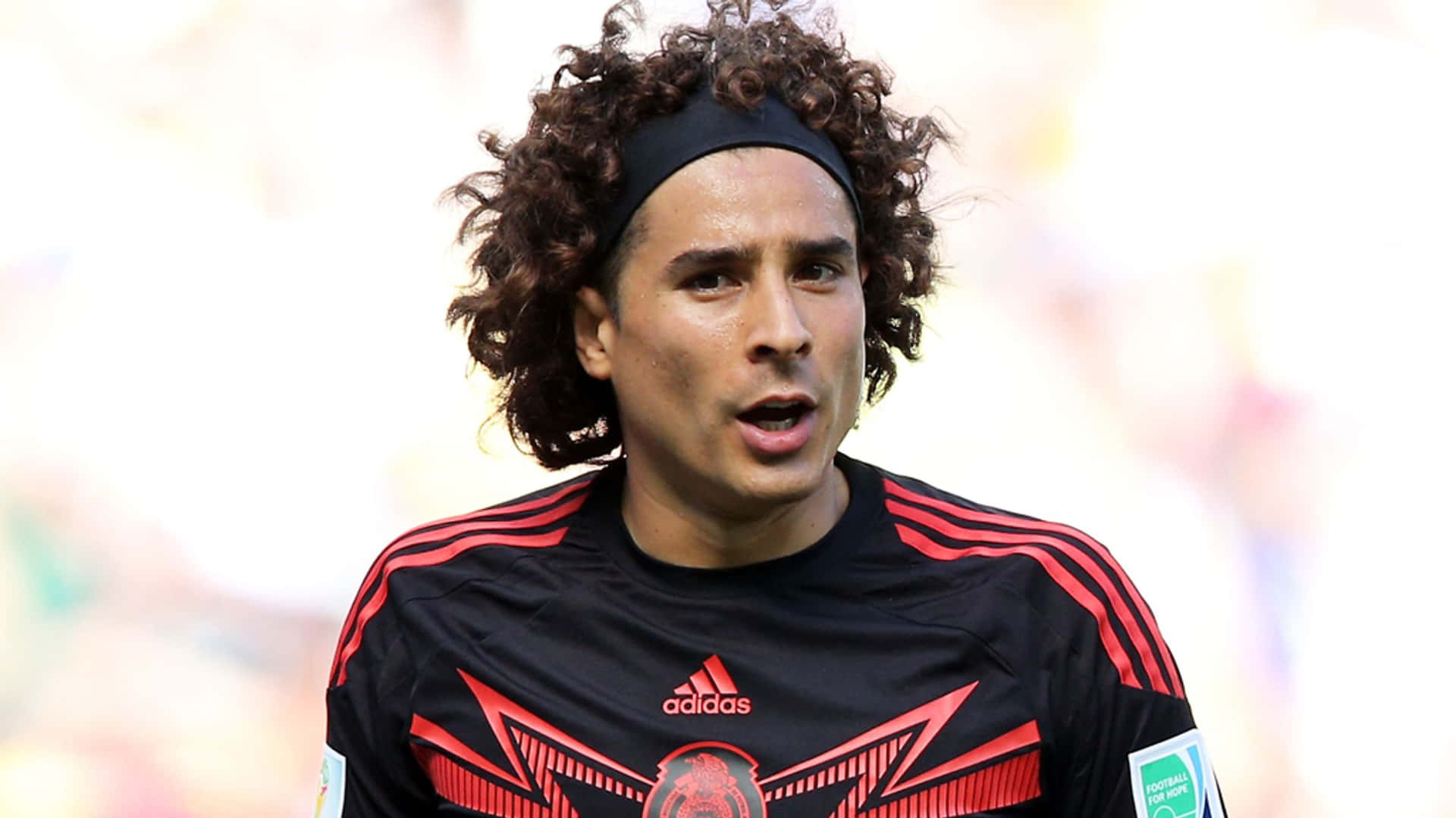cool ochoa wallpaper 0027