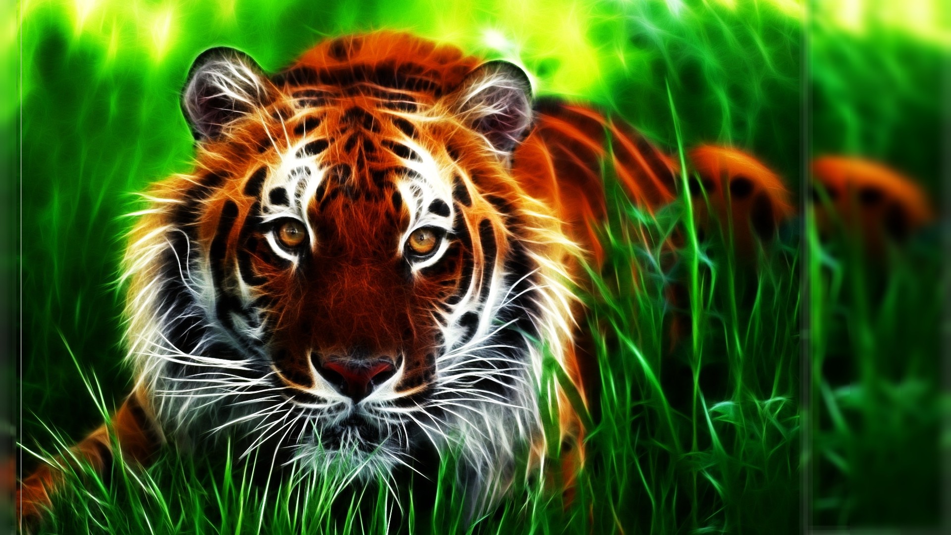 cool tiger pics 0038