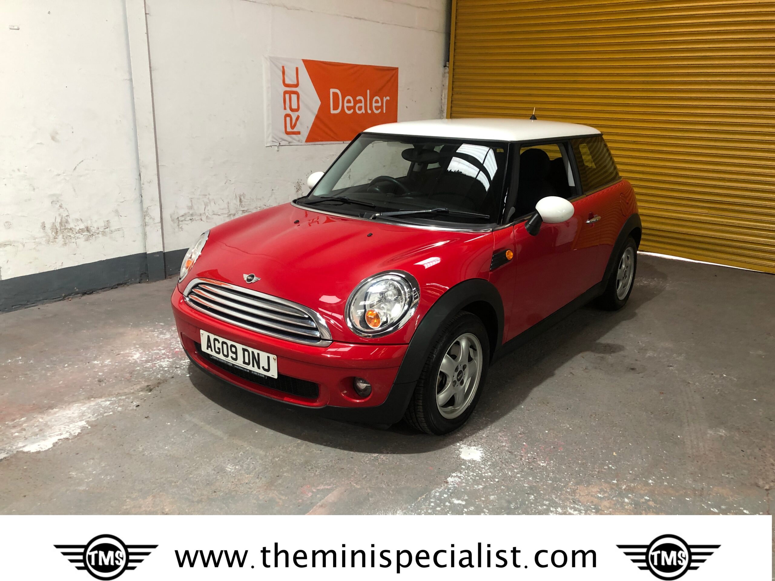 cooper reds 0015