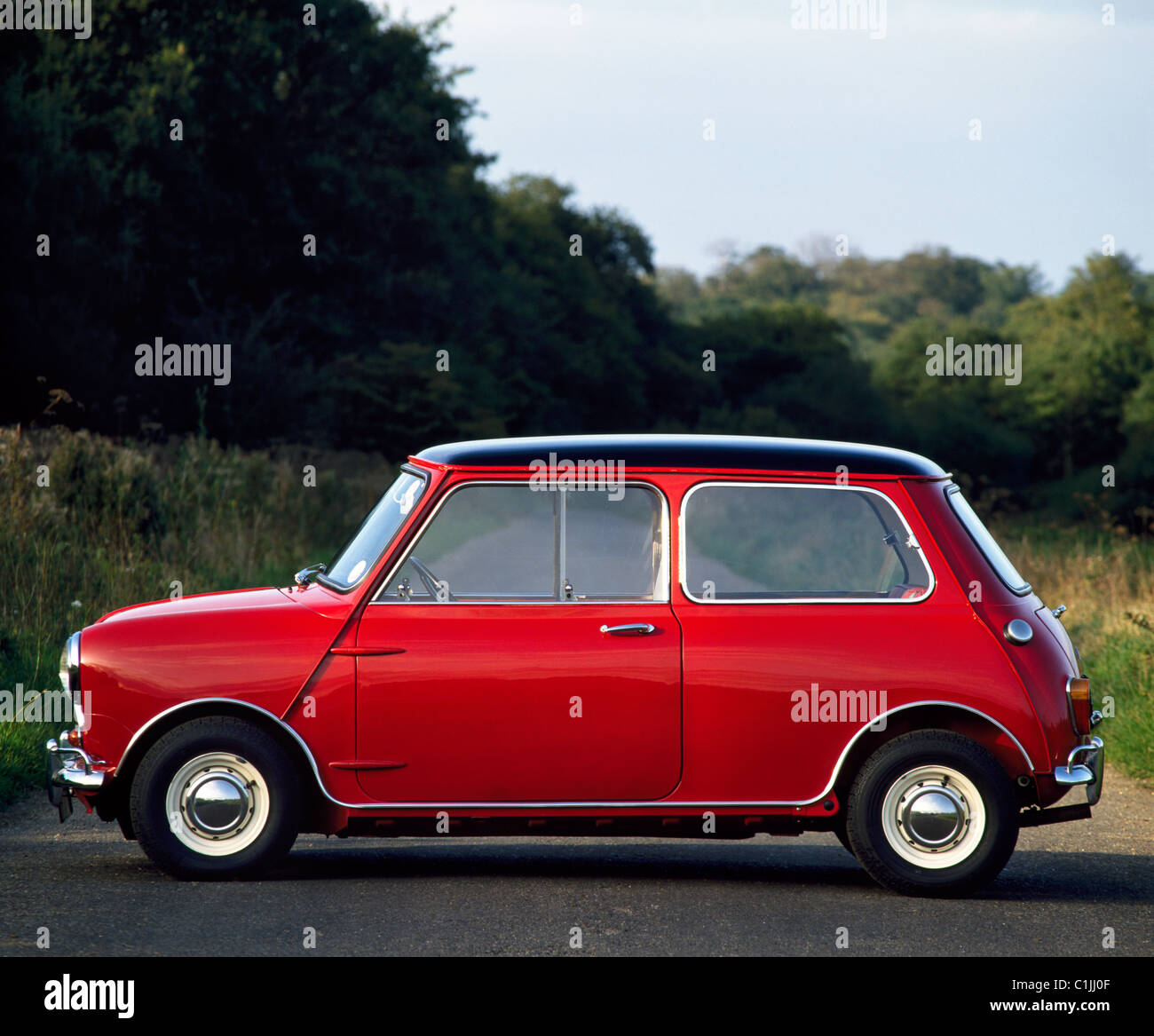 cooper reds 0047