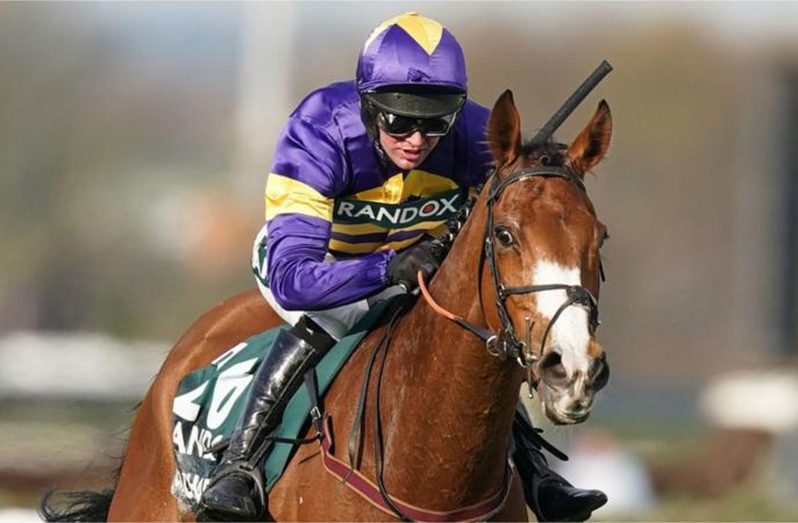corach rambler horse 0011