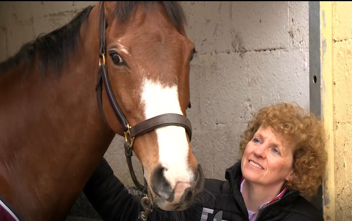 corach rambler horse 0013