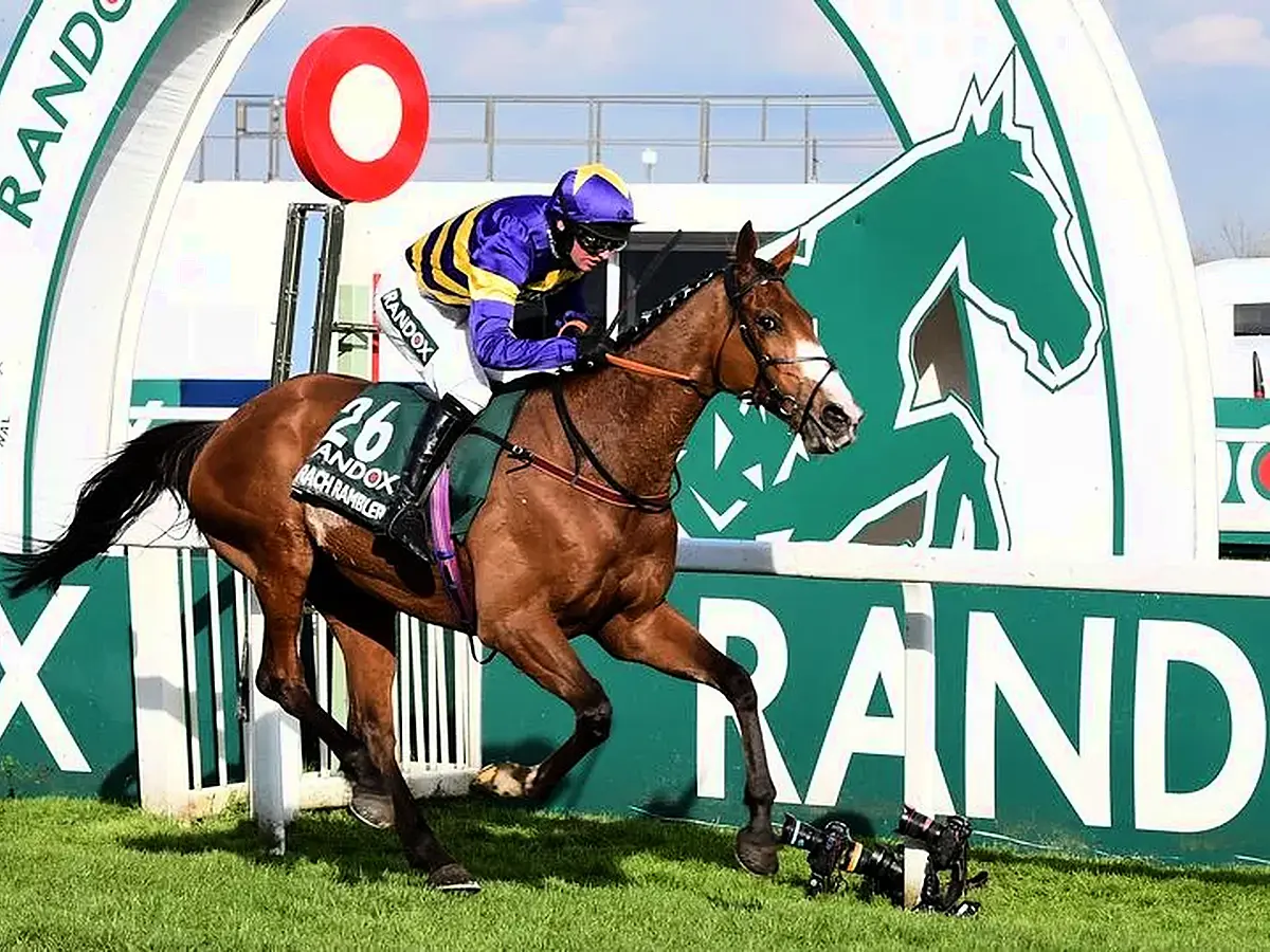 corach rambler horse 0023