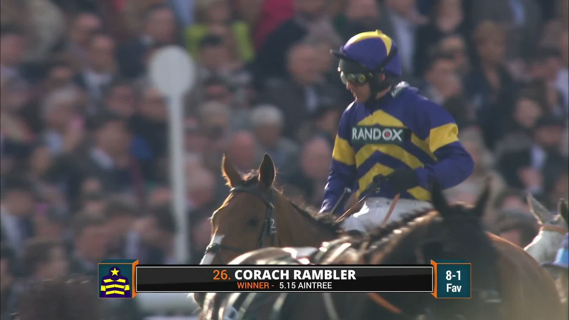 corach rambler horse 0024