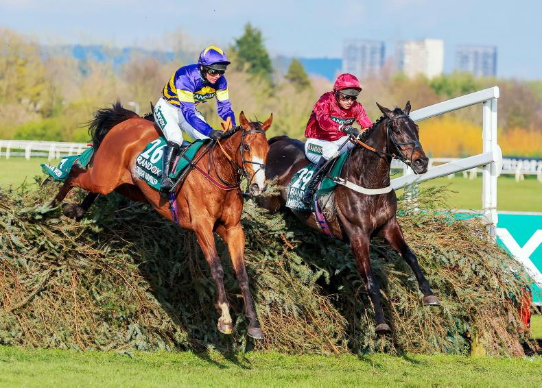 corach rambler horse 0025