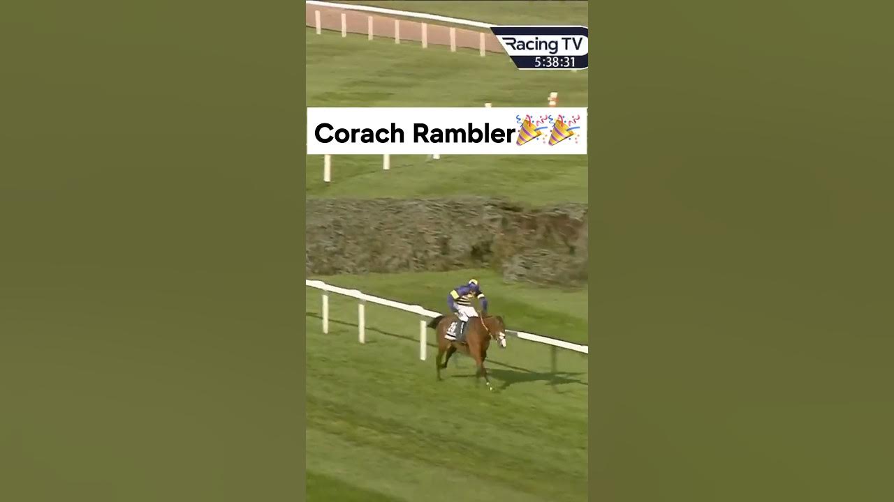 corach rambler horse 0026