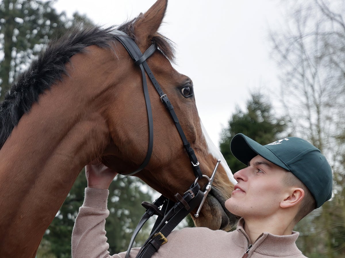 corach rambler horse 0029