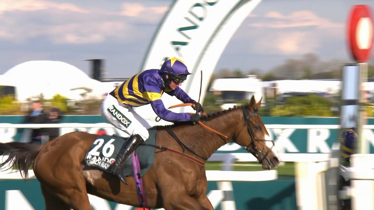 corach rambler horse 0032
