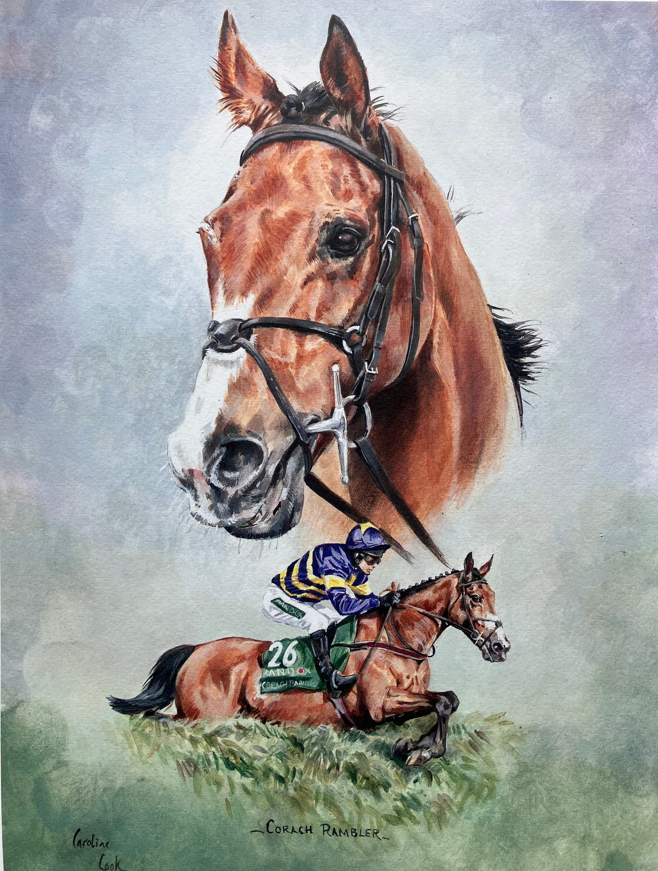 corach rambler horse 0033