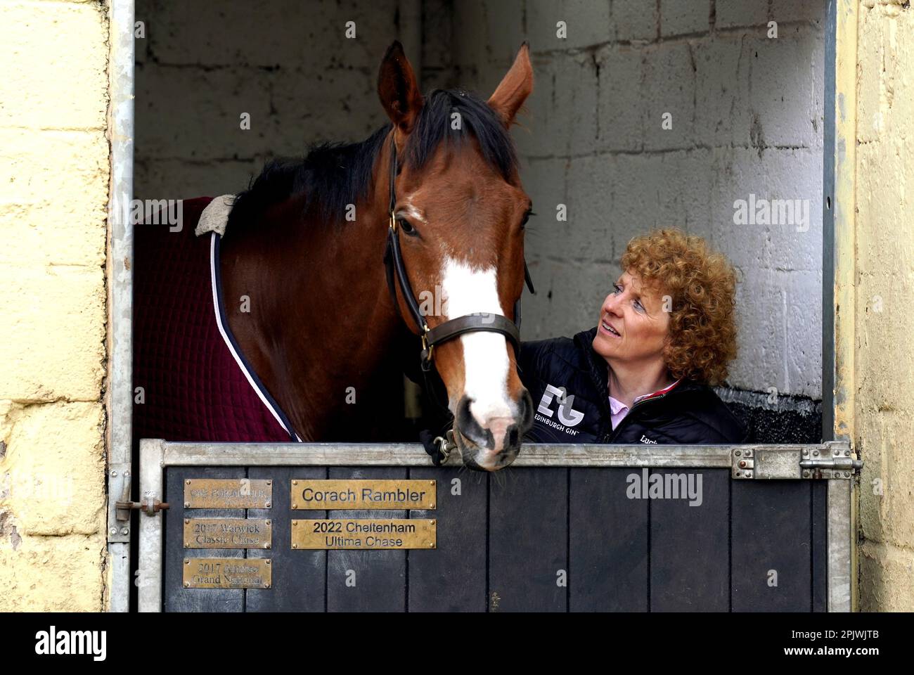 corach rambler horse 0035