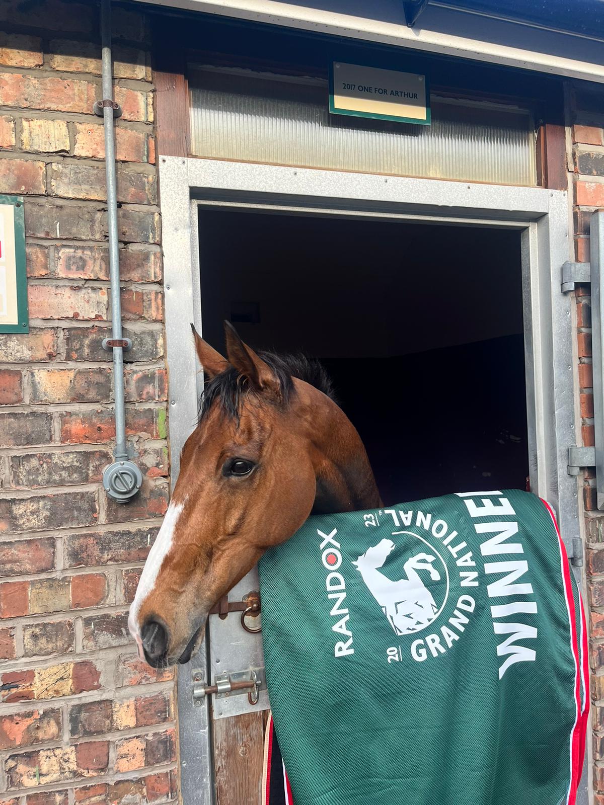corach rambler horse 0037