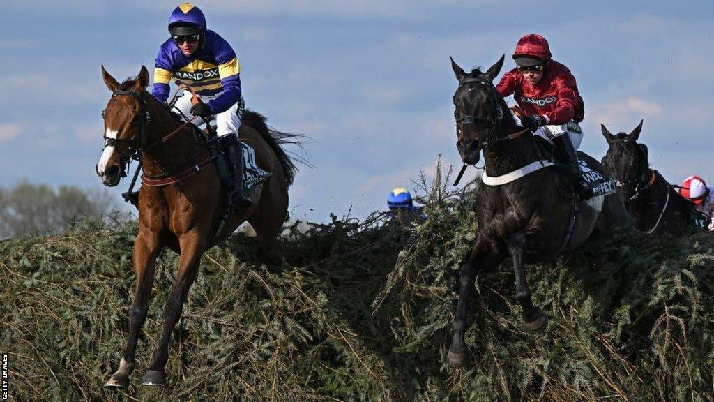 corach rambler horse 0039