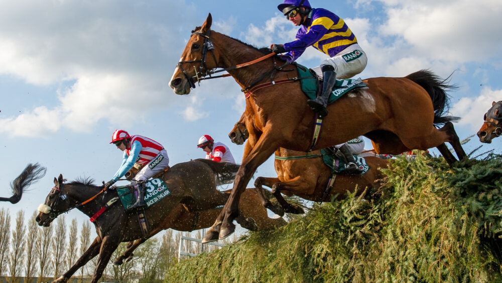 corach rambler horse 0049
