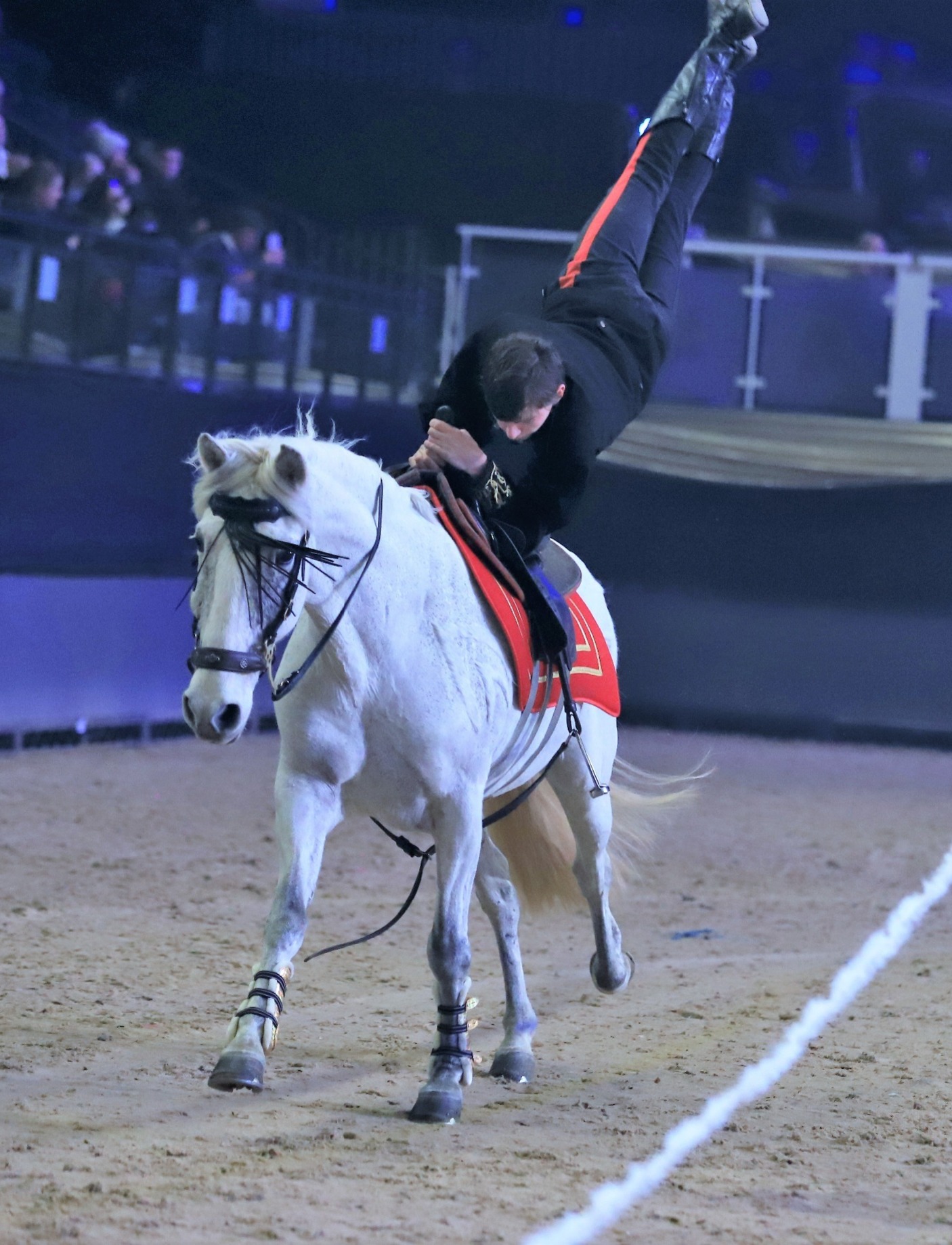 cossack saddle 0010
