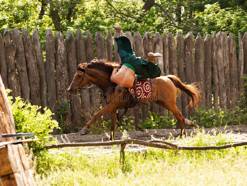 cossack saddle 0023