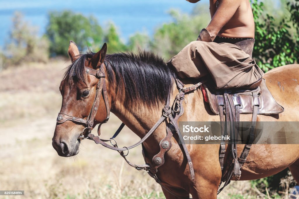cossack saddle 0031