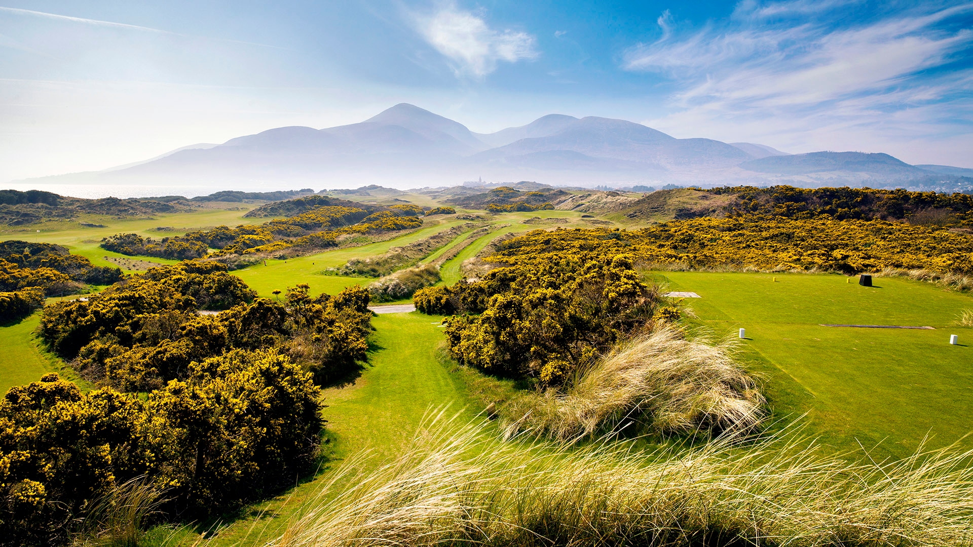 courses in ireland 0021