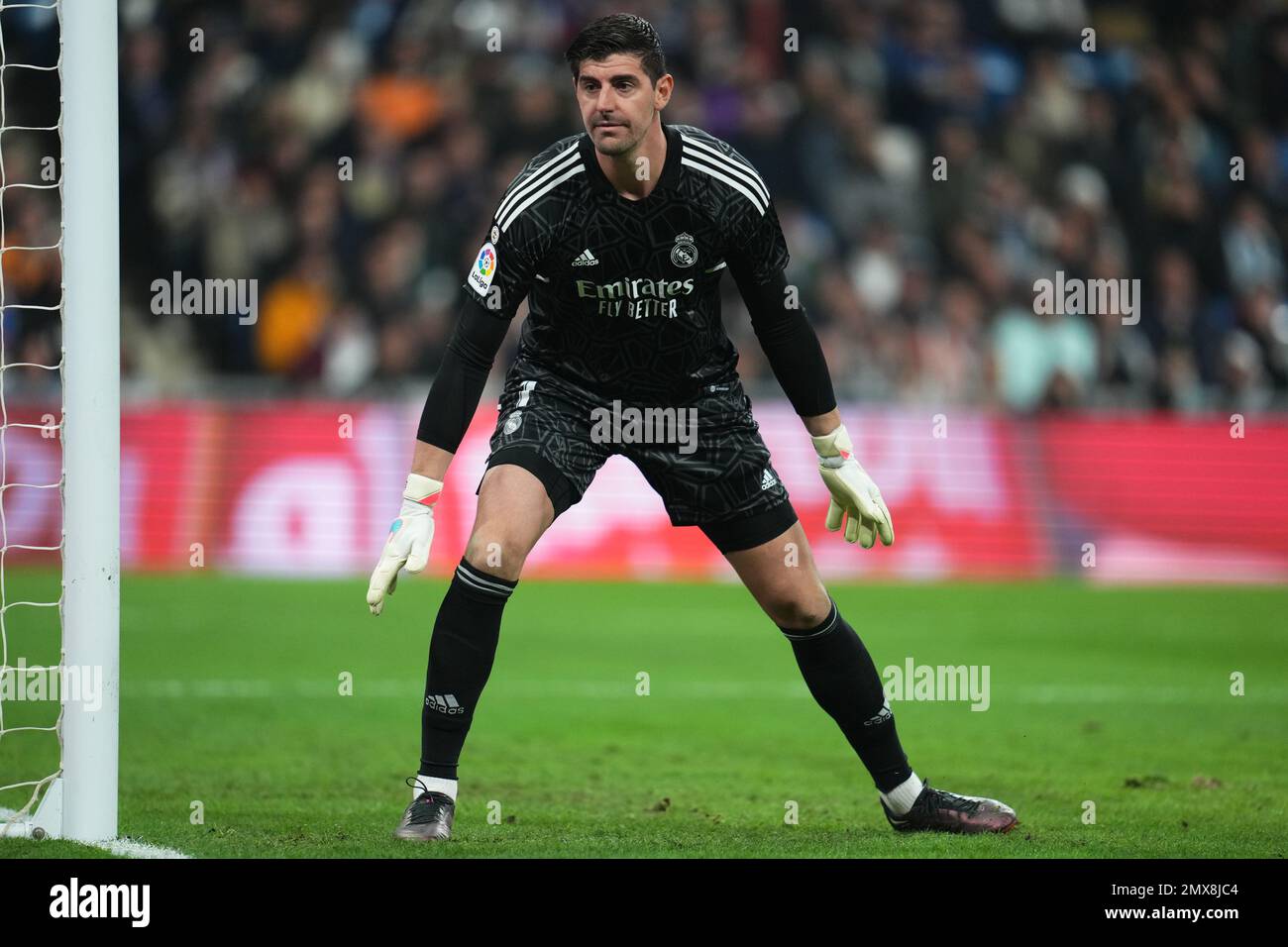 courtois 2023 0022