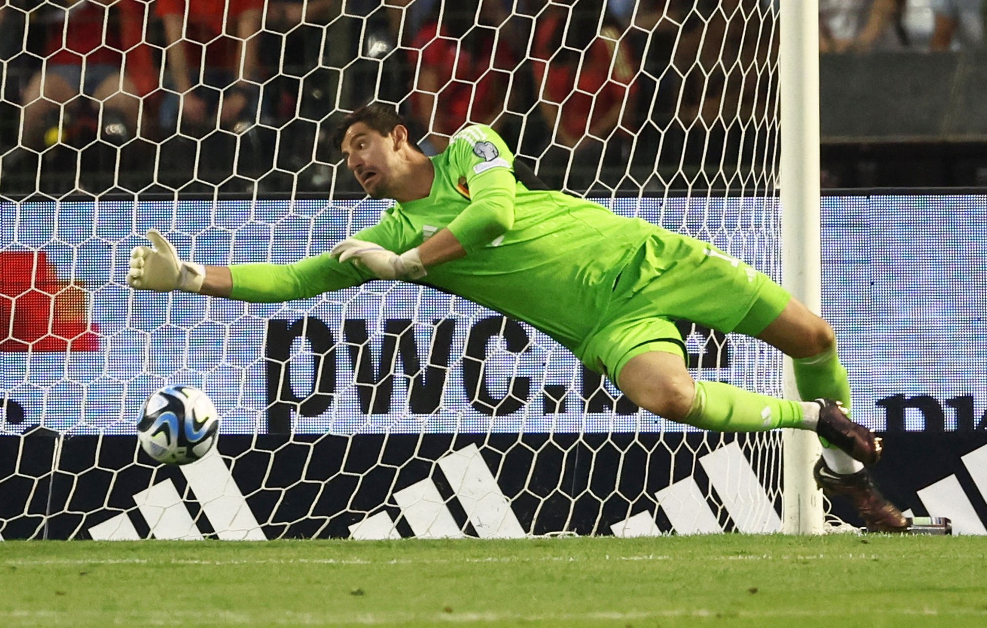 courtois 2023 0031