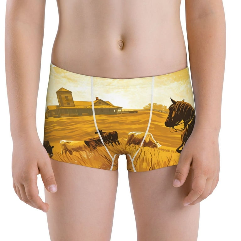 cowboy boxer 0026
