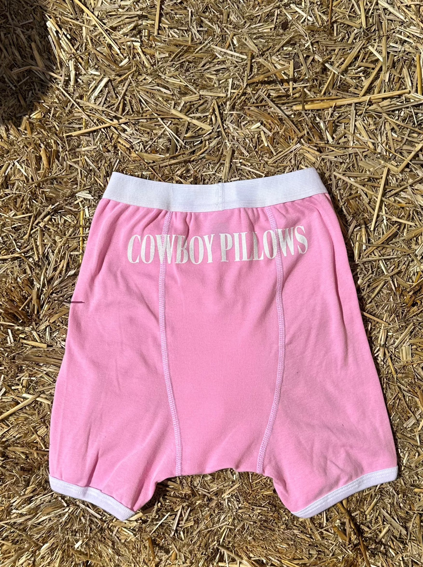 cowboy boxer 0044
