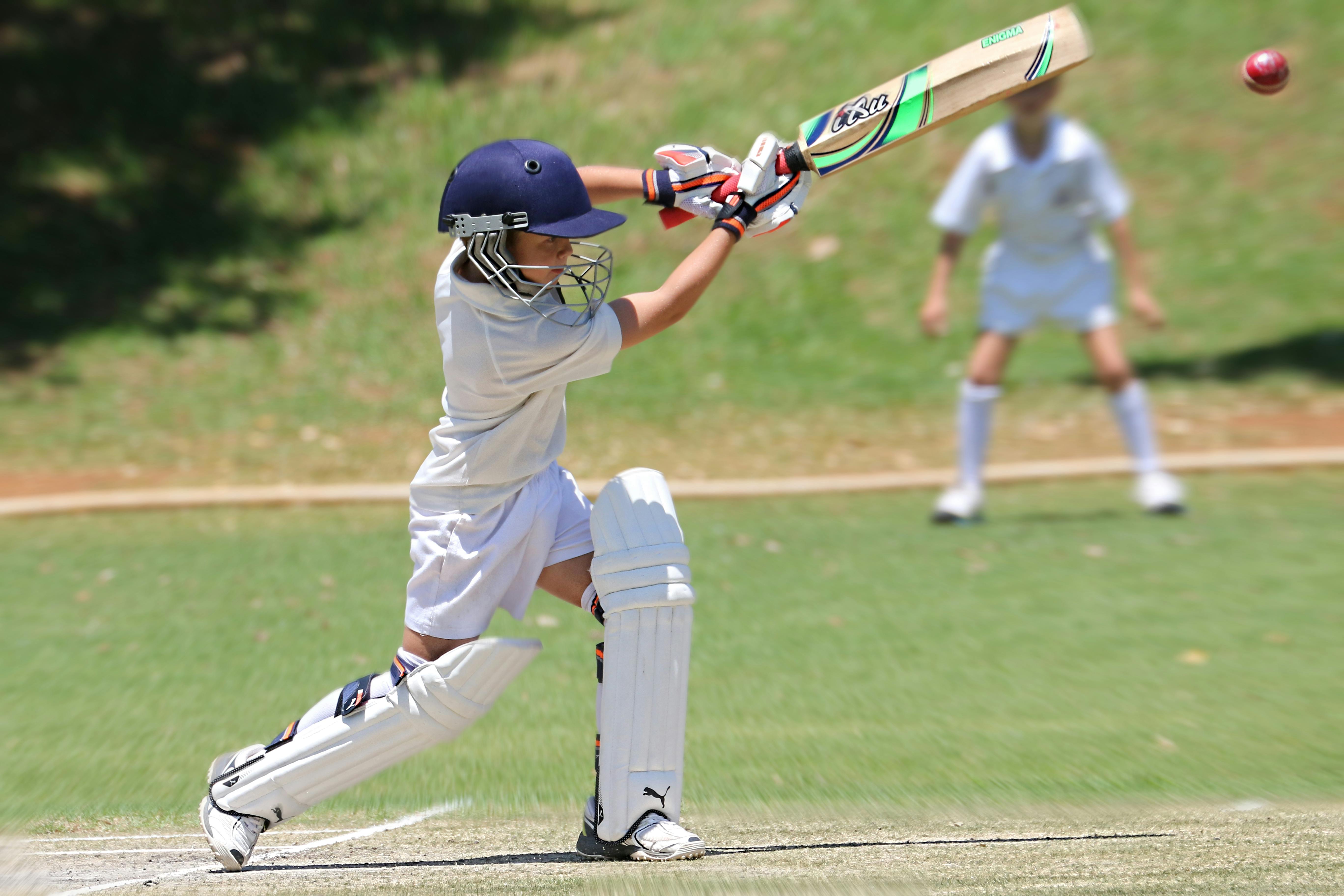 cricket image 0013