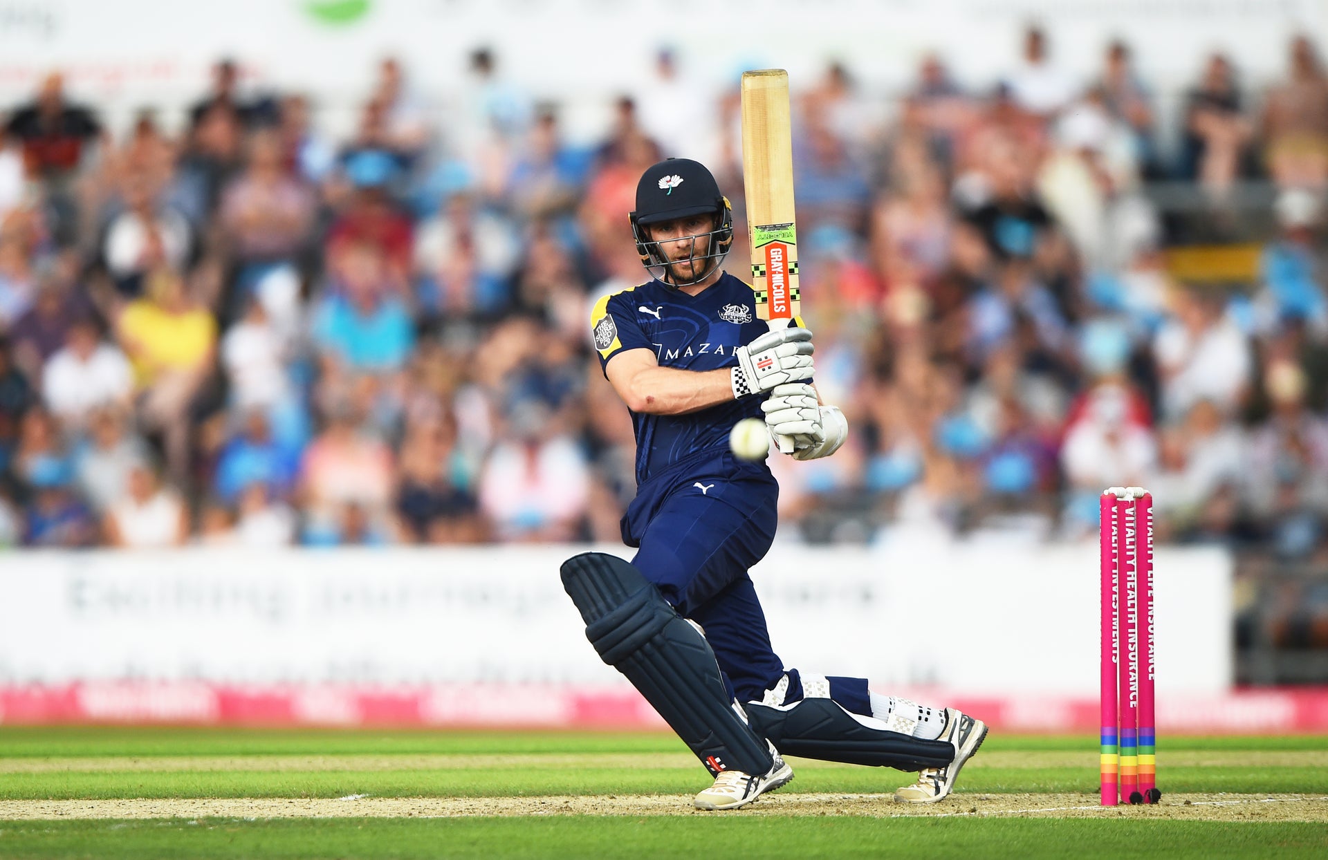 cricket image 0016