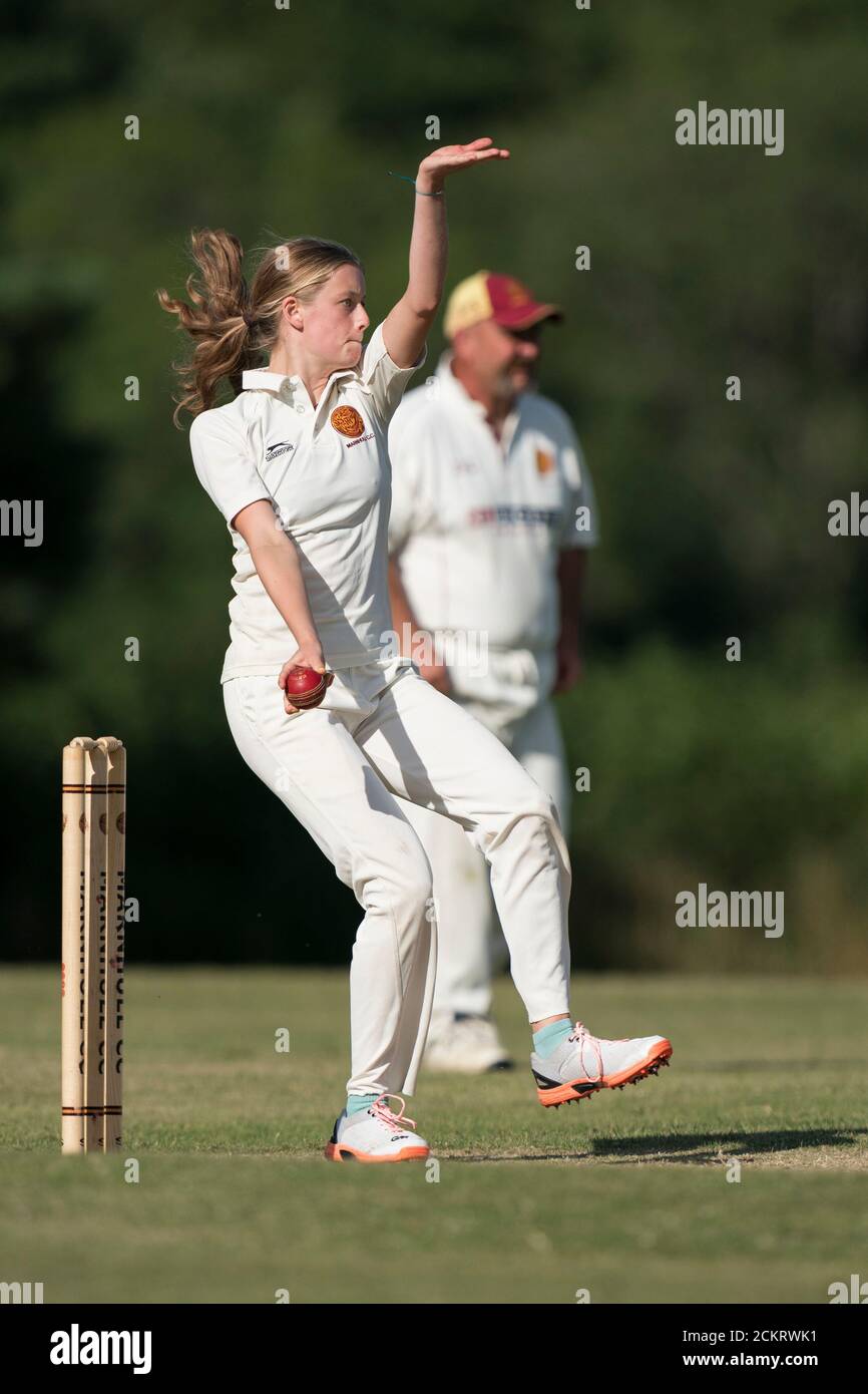 cricket image 0022
