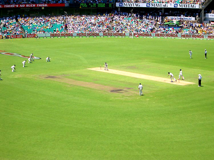 cricket image 0028