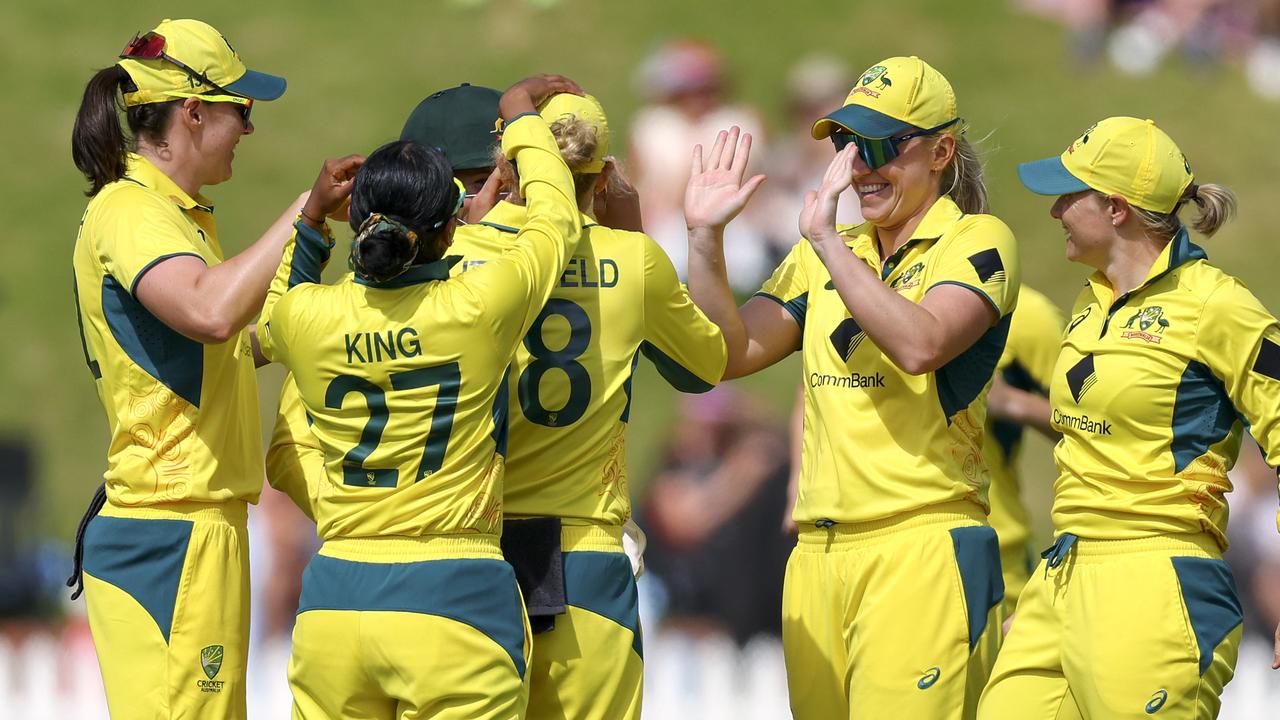 cricket image 0029