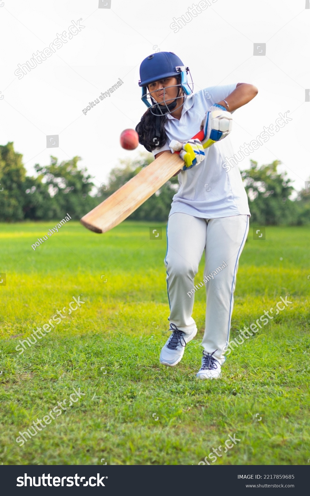 cricket image 0031