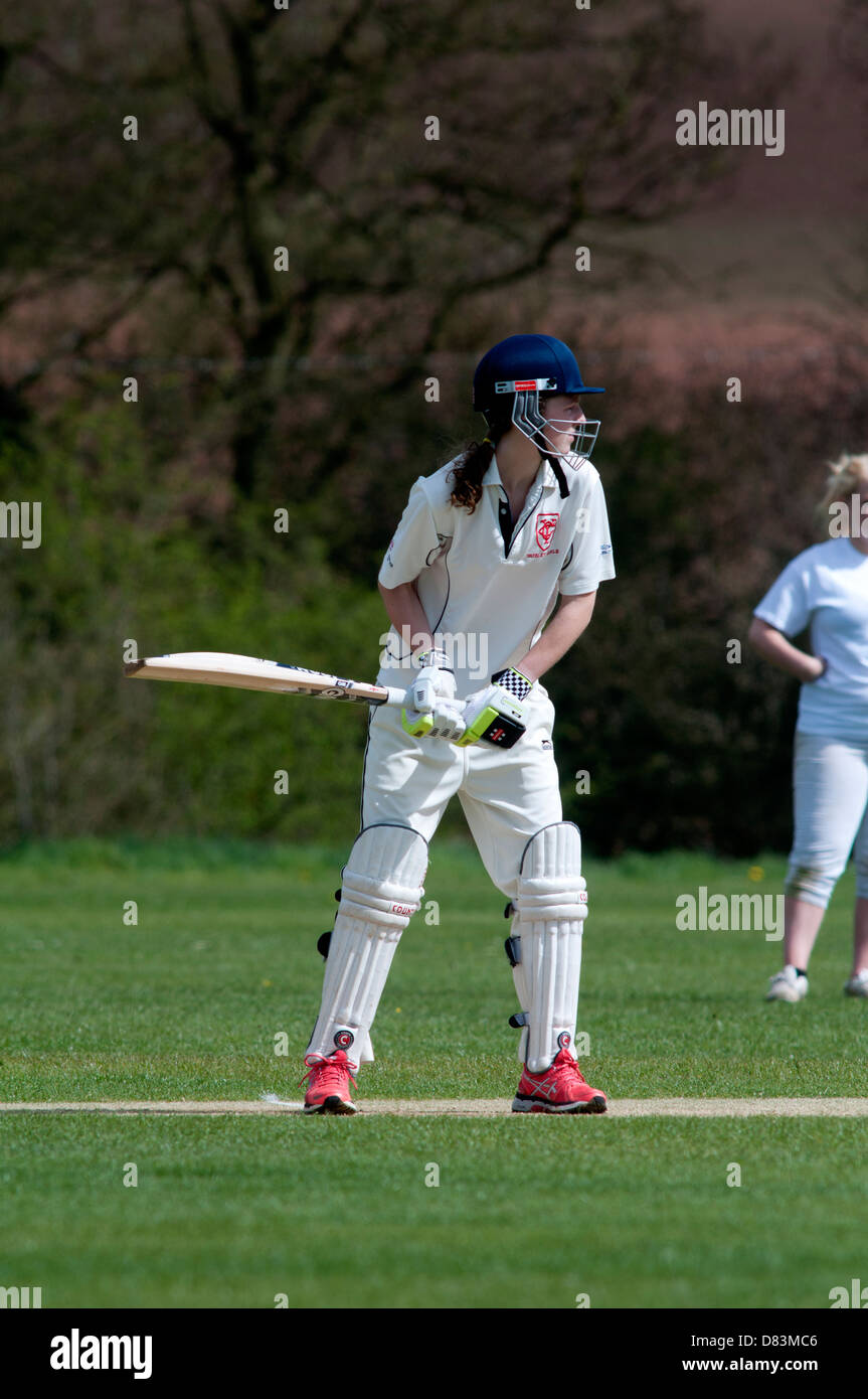 cricket image 0034