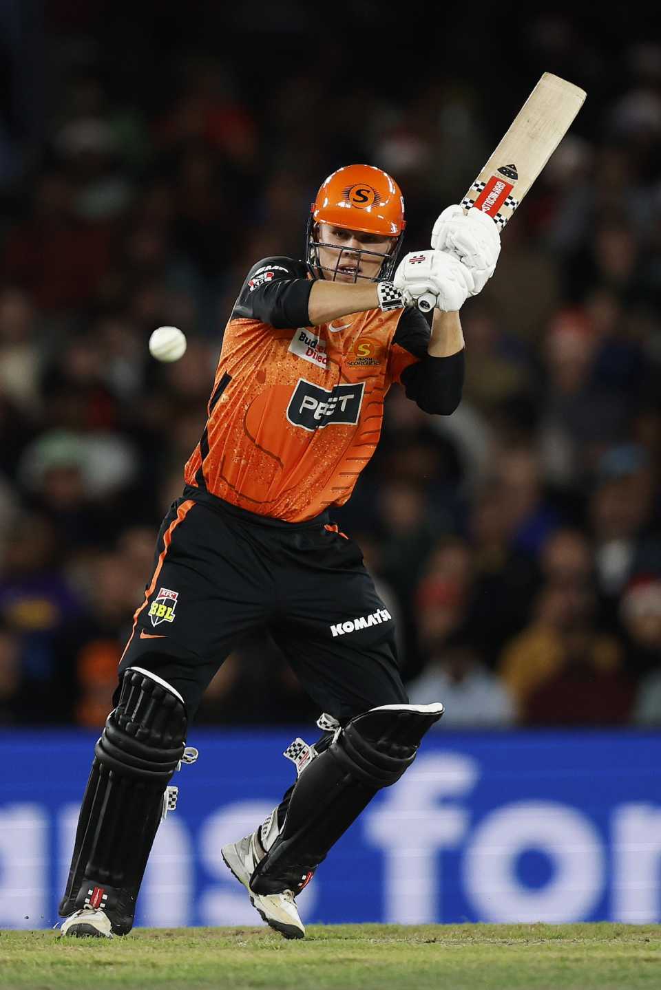 cricket image 0035