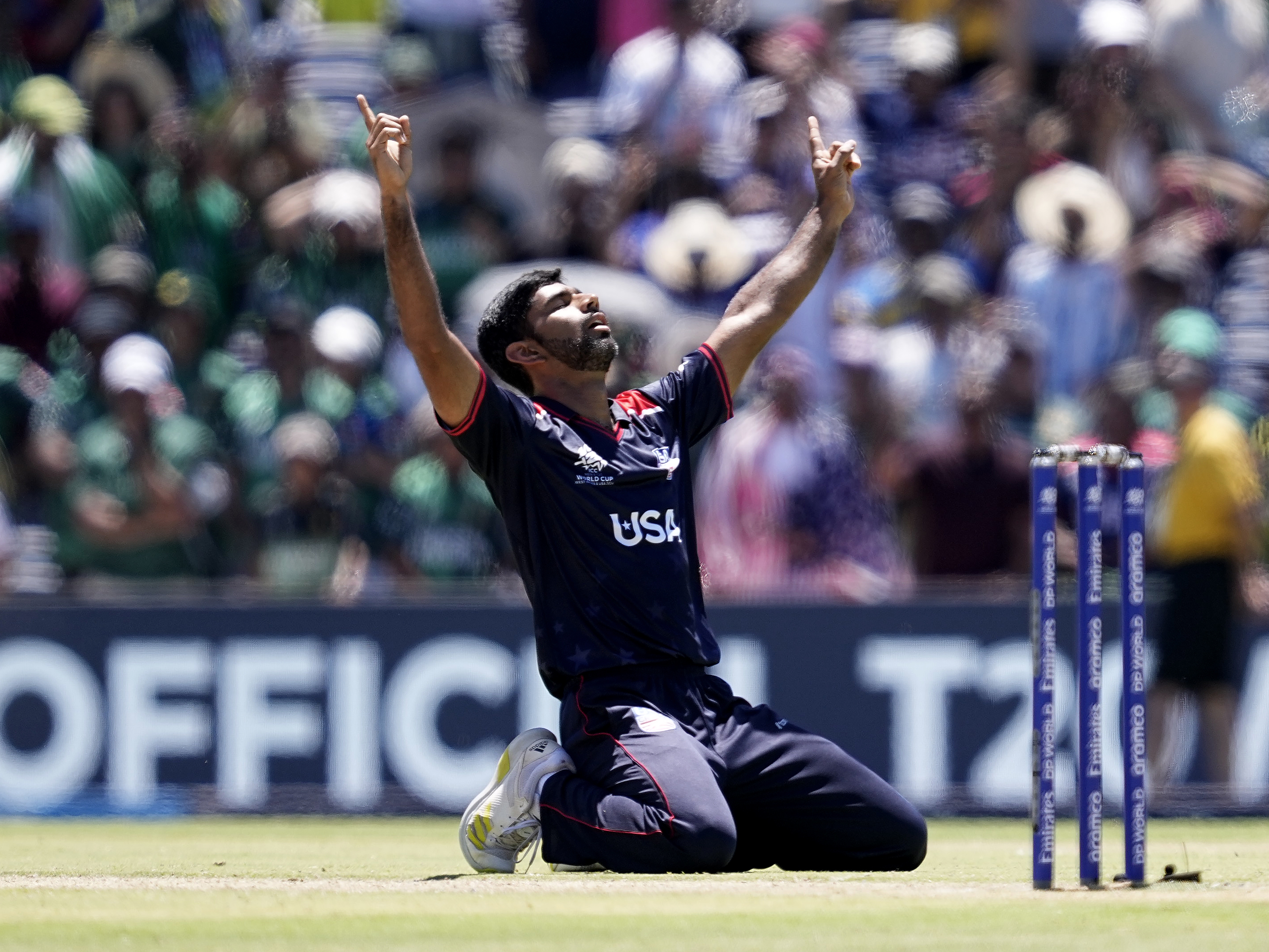 cricket image 0036