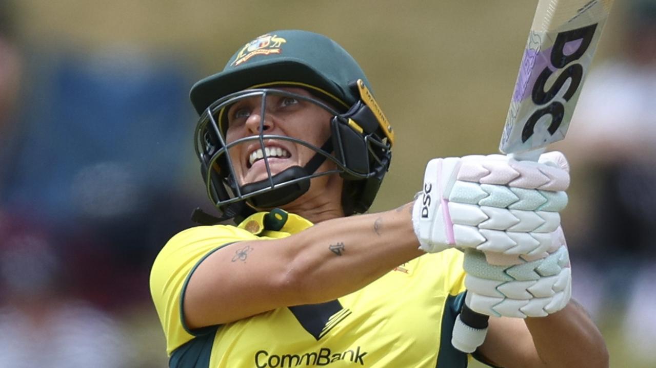 cricket image 0045