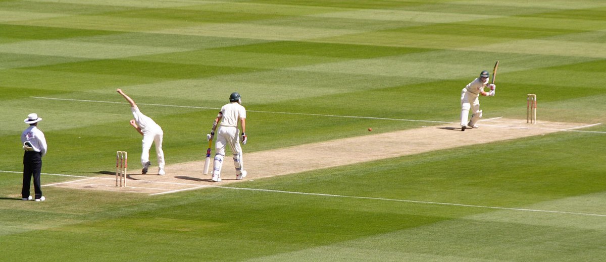 cricket photo